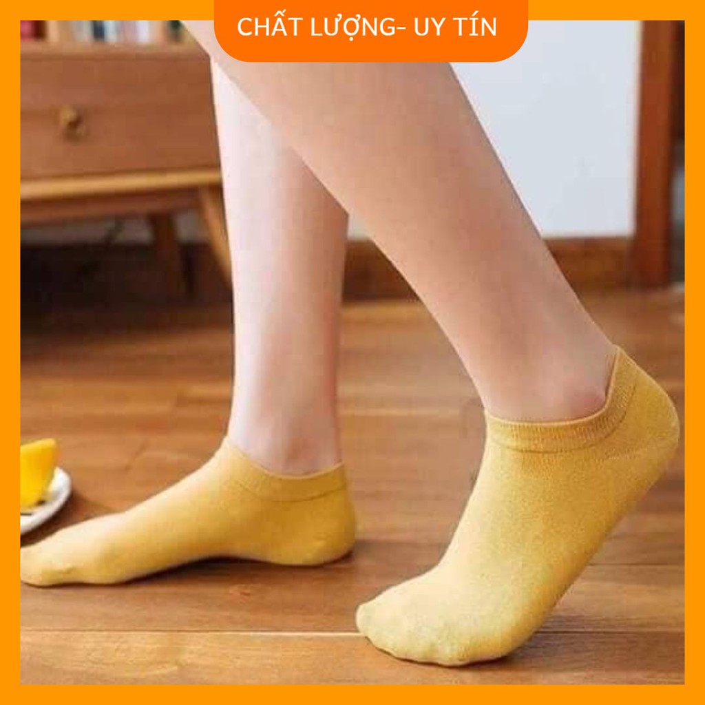 Combo 7 Đôi Vớ Tuần Dành Cho Bạn Nữ