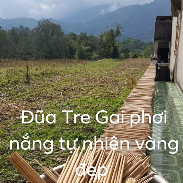 Đũa tre gai tự nhiên
