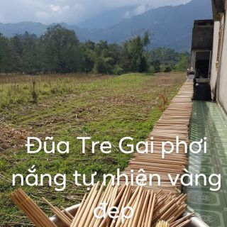 Đũa tre gai tự nhiên