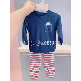 BỘ DÀI TÚI CÁNH CỤT