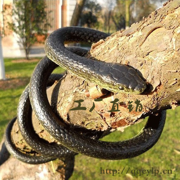 Con Rắn Giả Cao Su Như Thật Dài 120cm, 85cm, 40cm troll chơi khăm bạn bè