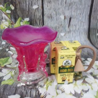 Combo 3 tinh dầu tràm hoa núi tặng 1 đèn xông tinh dầu thủy tinh + 1 tinh dầu treo sả chanh