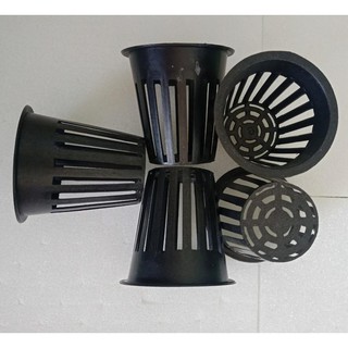 Combo vật liệu trồng rau thủy canh tại nhà
