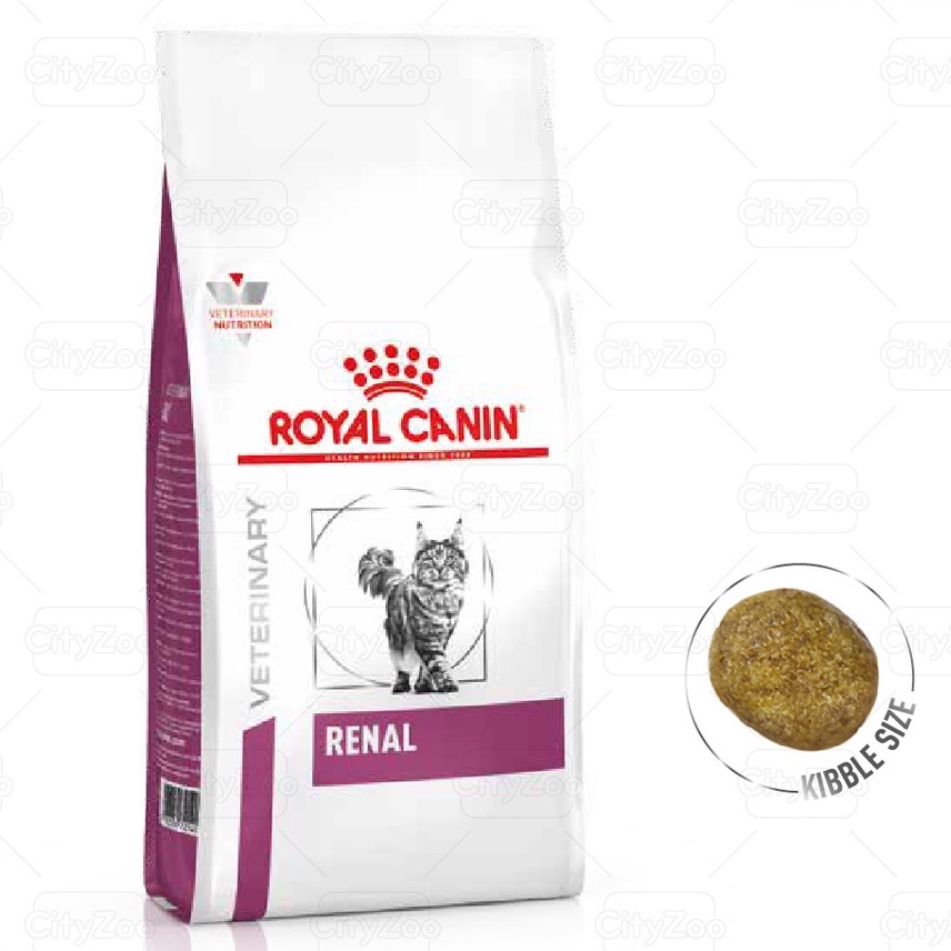 [1.5kg] hạt Royal Canin Urinary S/O mèo - hạt Renal cho mèo