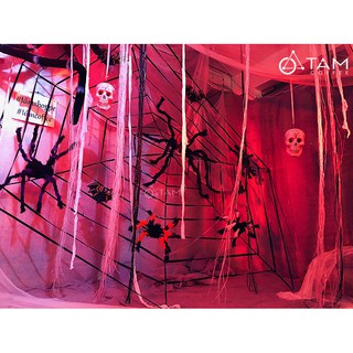 Mô hình con nhện trang trí Halloween TAN