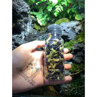 Hoa biếc khô giải nhiệt cho hamster