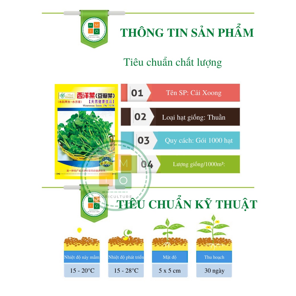 Hạt giống rau cải xoong, xà lách xoong trồng cạn giàu dinh dưỡng