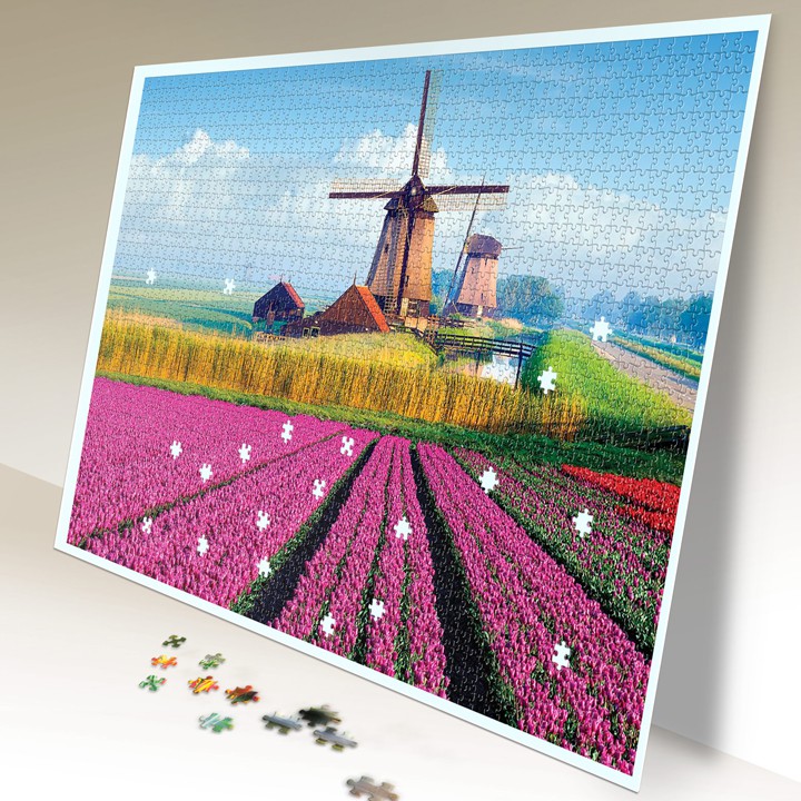 Tranh xếp hình Jigsaw Puzzle giải tỏa stress Tia Sáng 2035 mảnh - ĐẤT NƯỚC HÀ LAN - MSP: 2035-014