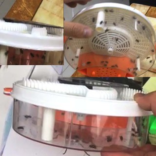Bắt ruồi - Máy bắt ruồi tự động
