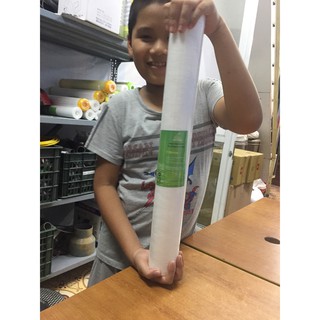 Cột lọc thô 20 inch