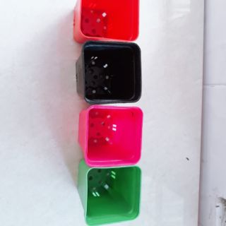 Chậu nhựa cứng 7×7