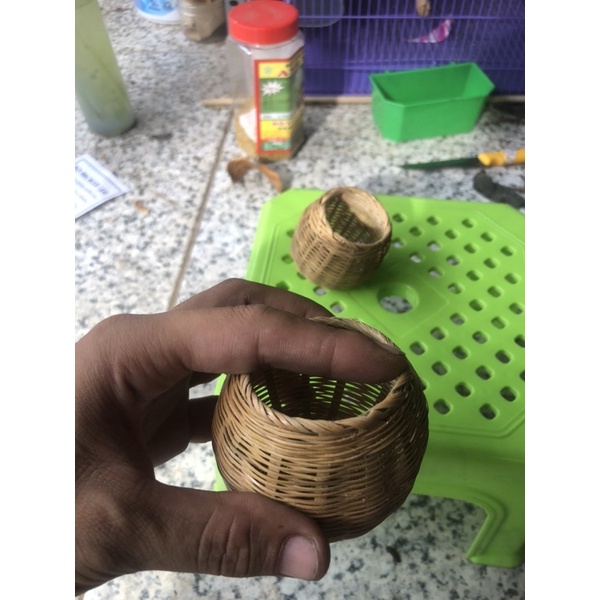 Rọ mây gắn lồng chim Cu gáy