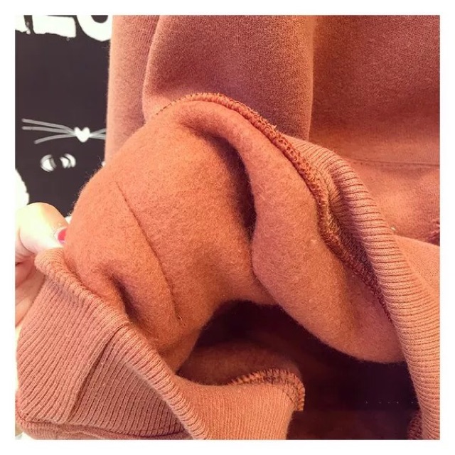 Nỉ Hoodie Hàn Quốc