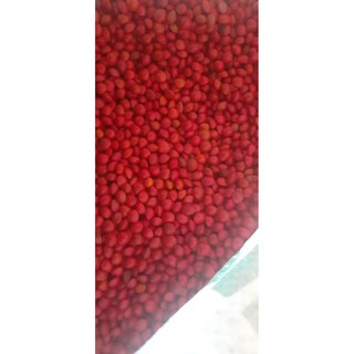 HẠT GIỐNG CÂY MUỒNG