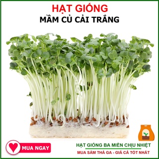 [GIỐNG MỀM, NGỌT, NON] Hạt Giống Rau Mầm Củ Cải Trắng 50 Gram