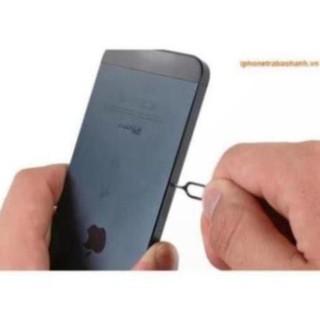 Que Chọc sim sim từ bé tới lớn