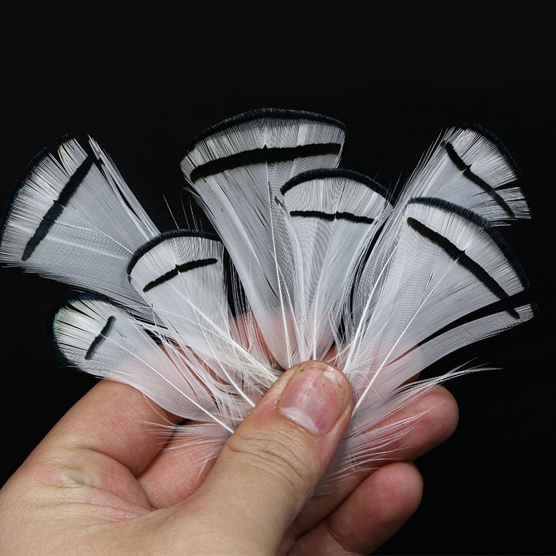 Lông Vũ Đuôi Cá Nhiều Loại Cho Nữ