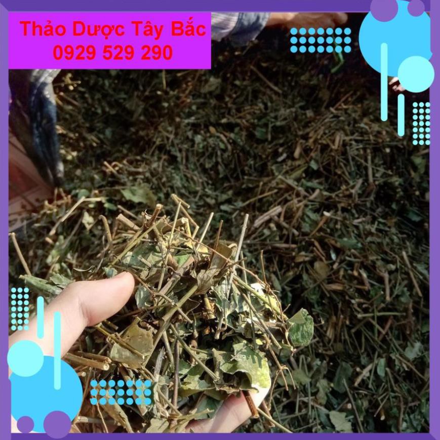 Trà Vằng , Trà Vằng Giảm Cân ( Trà Vằng Lợi Sữa )