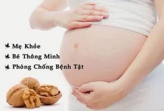 Óc chó Hartley Mỹ