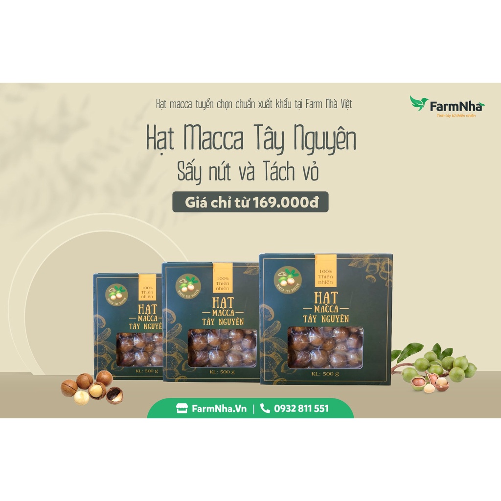 Mua Hạt Macca Tây Nguyên Sấy Nứt Tuyển Chọn (Hộp 500gr) Có Dụng Cụ Tách ...