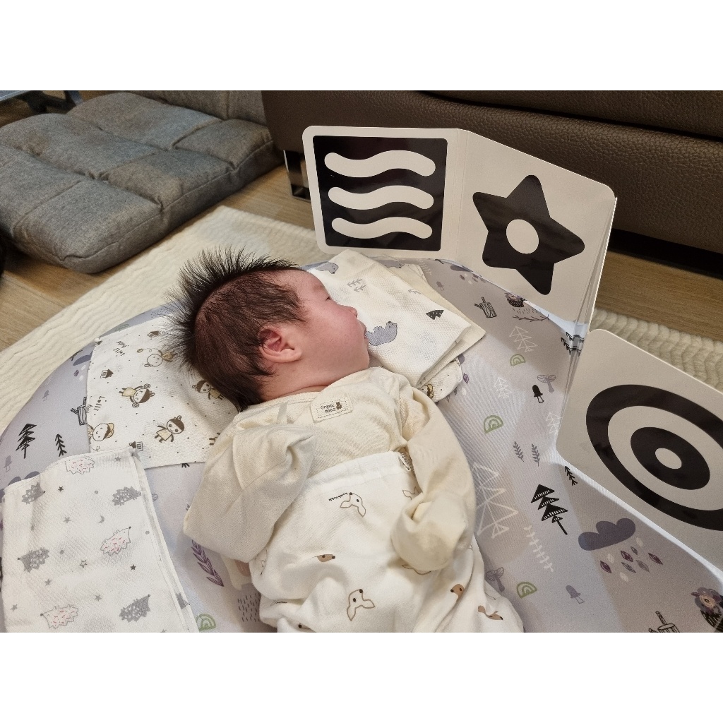 Set 2 cuốn sách phát triển trí não và thị giác cho trẻ sơ sinh Green Kids Hàn Quốc