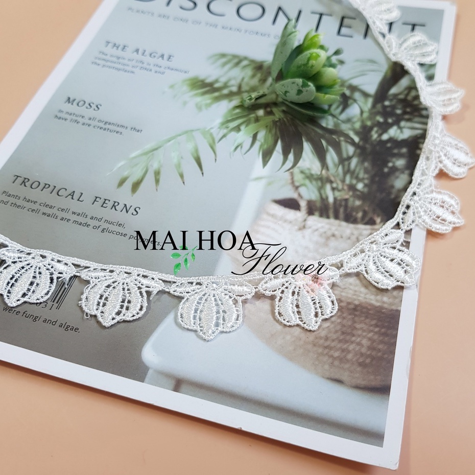 RC17 Cuộn 6 mét dây ren viền váy áo ren chỉ trắng dùng may đồ rộng 2cm Maihoaflower
