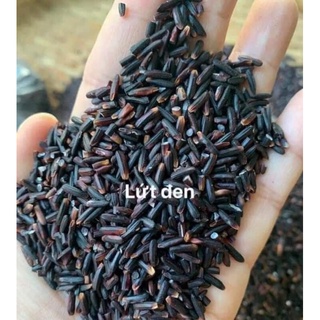 Gạo Lứt Đen Điện Biên