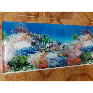 Tranh dán bể cá 1m