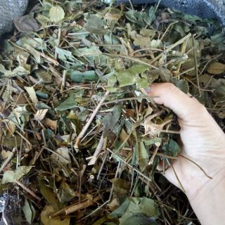 Chè vằng sẻ nghệ an (1 kg)
