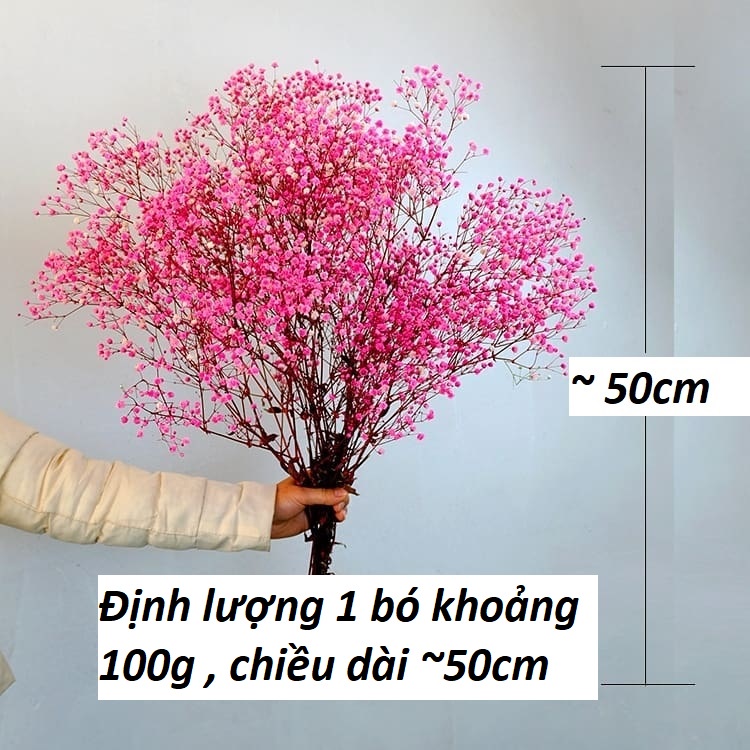 Bó hoa khô Baby lớn đủ màu hàng loại đẹp loại 1
