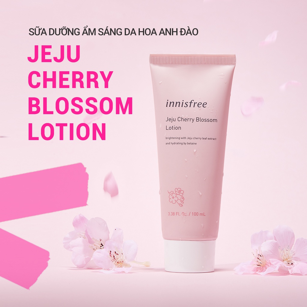 (Quà tặng) Bộ dưỡng ẩm sáng da hoa anh đào đảo Jeju innisfree Jeju Cherry Blossom Tone-up Cream Set