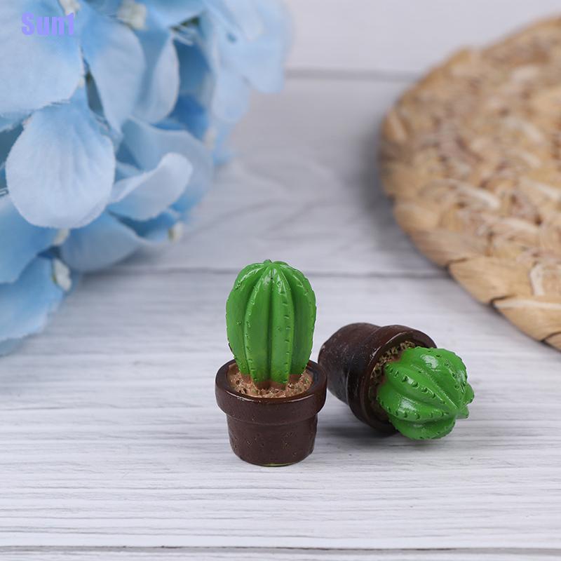 Bộ 5 Cây Xương Rồng mini Trang Trí Nhà Búp Bê