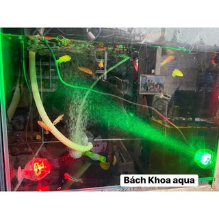 Đèn cầu chìm an toàn trong nước – đèn LED trang trí bể cá cảnh, thiết kế chống nước, chiếu sáng đẹp mắt