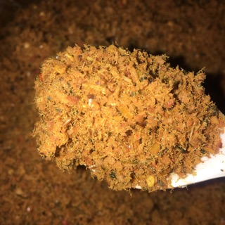 Muối cá lá é đồng bào