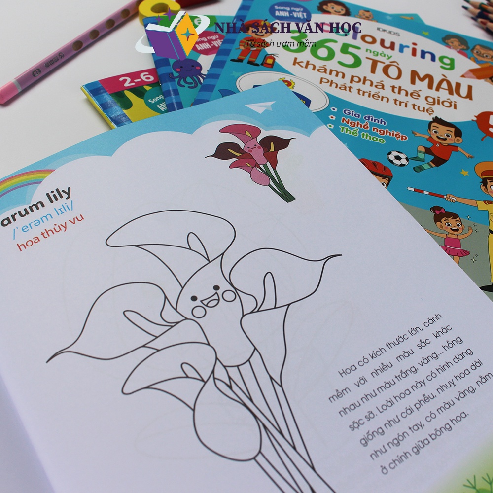Sách - Combo 6 Quyển - 365 Ngày Tô Màu Khám Phá Thế Giới