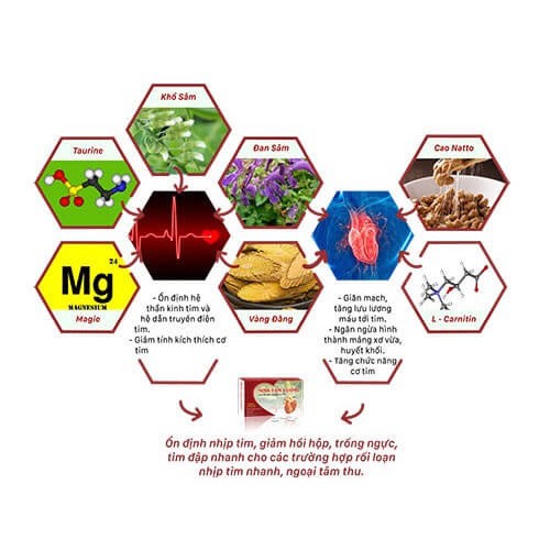 Ninh Tâm Vương - Tăng cường sức khỏe tim mạch, ổn định nhịp đập của trái tim (Hộp 30 viên)