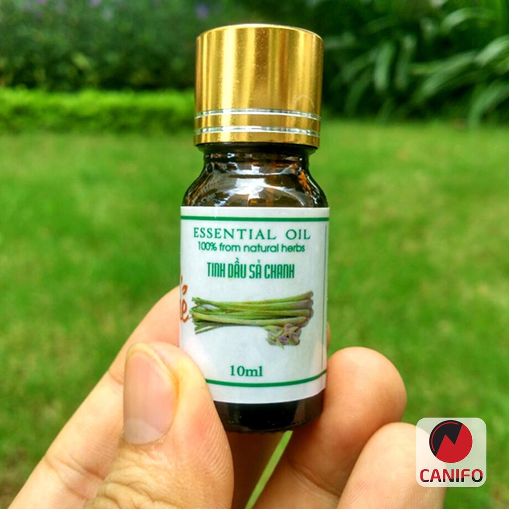 Tinh dầu sả chanh nguyên chất 10ml Canifo có kiểm định chất lượng - Tinh dầu xả chanh đuổi muỗi, tinh dầu xông phòng