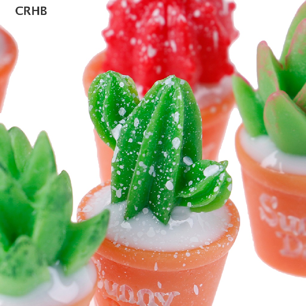 Crhb Set 5 Cây Xương Rồng Bằng Nhựa Resin Nhỏ Tự Trang Trí Chậu Cây Bonsai Mới