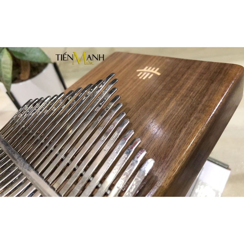 Đàn Kalimba 21 Phím Hluru KC21-KO, KC21-WA, KC21-RW (Gỗ Koa, Walnut, Rosewood) - Nhạc Cụ Tiến Mạnh Music