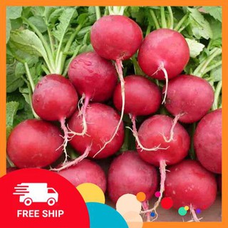Gói 200 hạt giống củ cải đỏ F1 LUCKYVN