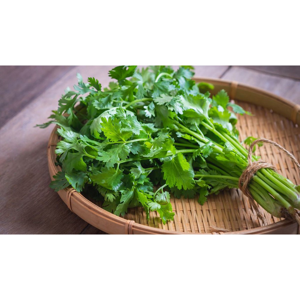 [Mã 2611TIEUDUNG100K giảm 8% đơn 500K] Cilantro leaves - Lá Ngò Rí xanh tươi sấy lạnh thơm ngon trang trí món ăn