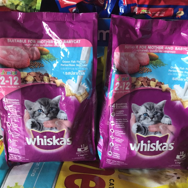 Thức ăn mèo con whiskas vị cá biển và sữa gói 1.1kg