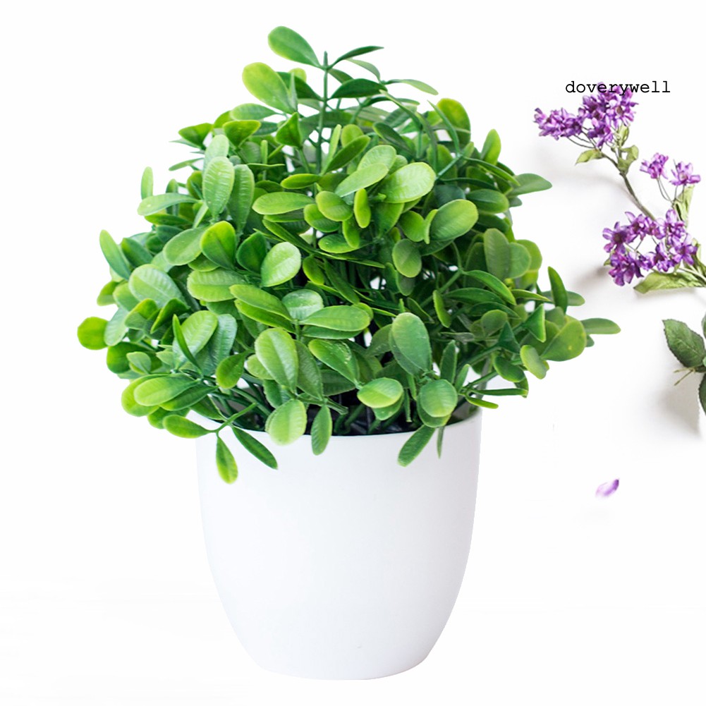 Mô hình cây cảnh nhân tạo sống động trang trí nội thất