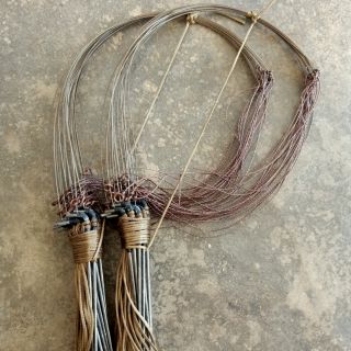 Giò bẫy gà rừng