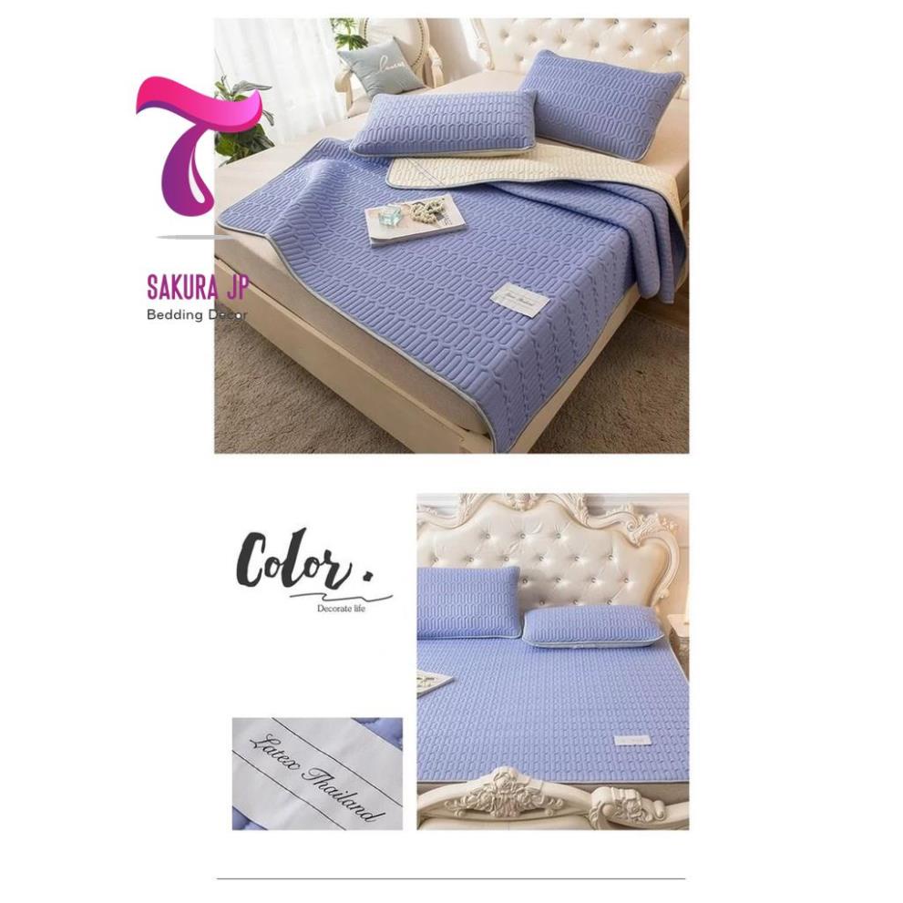 CHÍNH HÃNG-  Chiếu Điều Hoà 3 Lớp 100% Cao Su Non Latex  Chiếu Cao Su Non Điều Hòa Sakura JP Bedding Decor