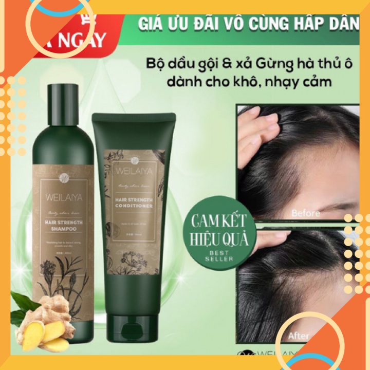 Dầu Gội Ngăn Rụng Tóc , Kích Mọc Tóc Gội Xả Gừng Xanh , Hà Thủ Ô WEILAIYA [ Chính Hãng ]