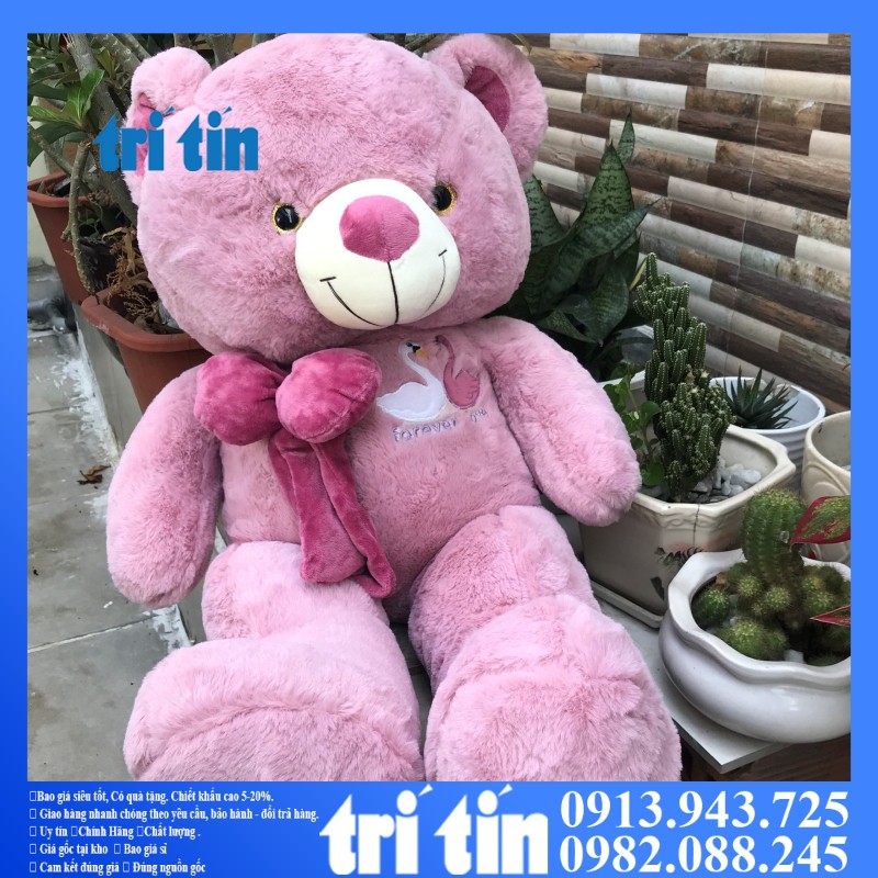 ❣️𝑭𝒓𝒆𝒆𝒔𝒉𝒊𝒑❣️Gấu teddy dáng đứng thắt nơ khổ 80cm