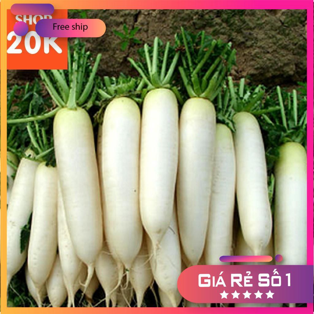 Hạt giống Củ cải trắng