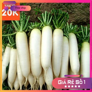 Hạt giống Củ cải trắng