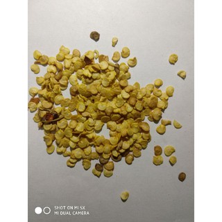 30 Hạt Giống ớt dài Hàn quốc
